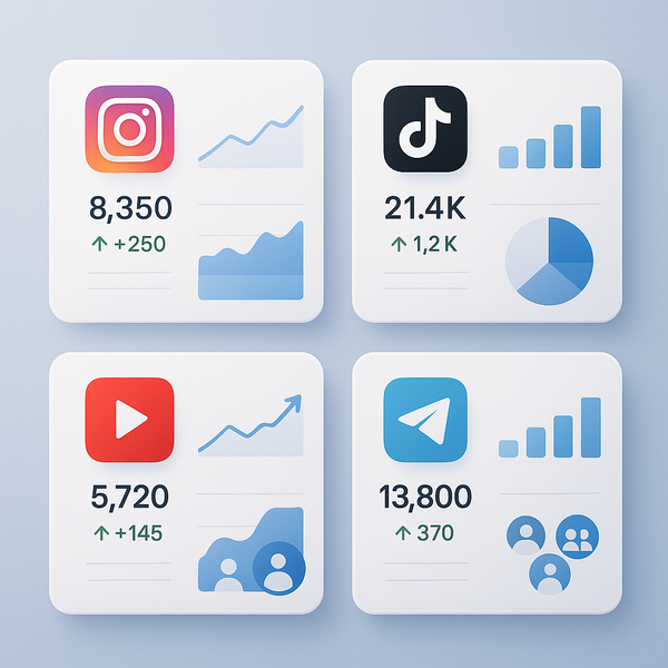 Best Buy Instagram Followers Panel in India