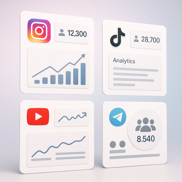 The Fastest Delivery SMM Panel: Your Guide