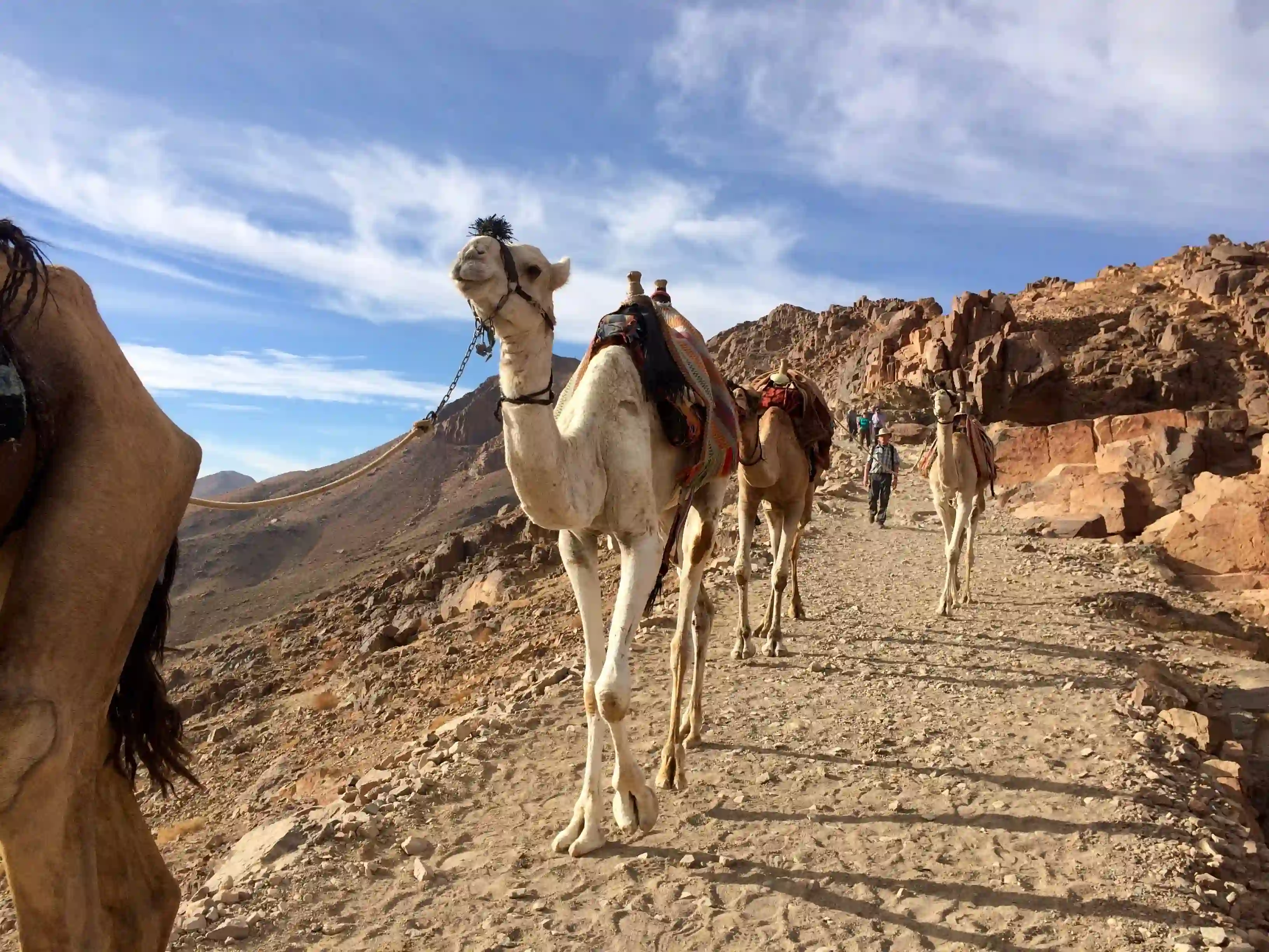 descending from mount sinai