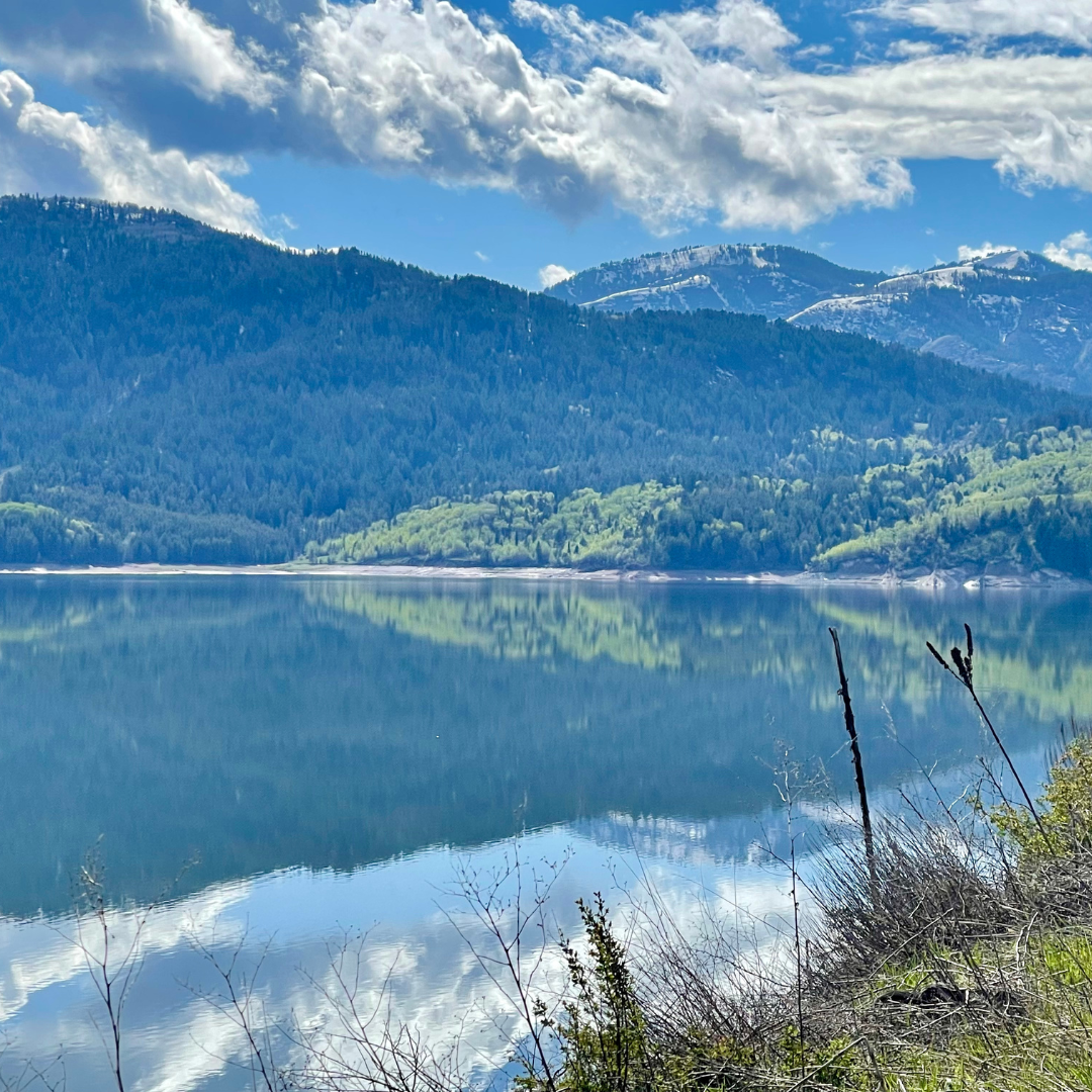 Image of Palisdaes Reservoir May 2024