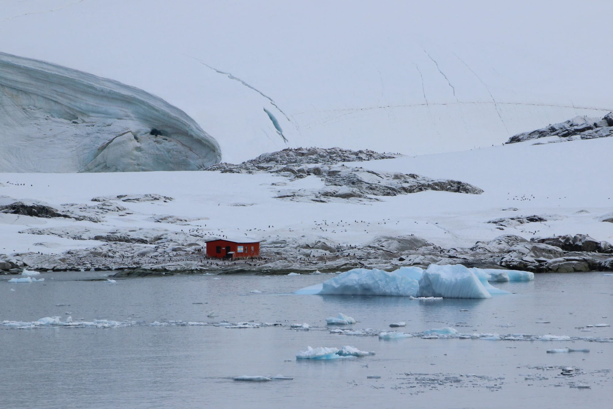 huge iceberg