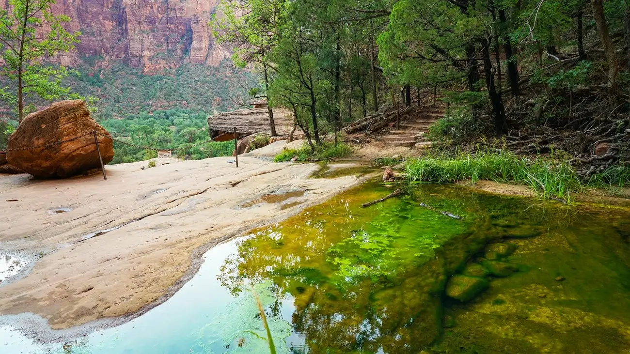 Zion's Emerald Pools