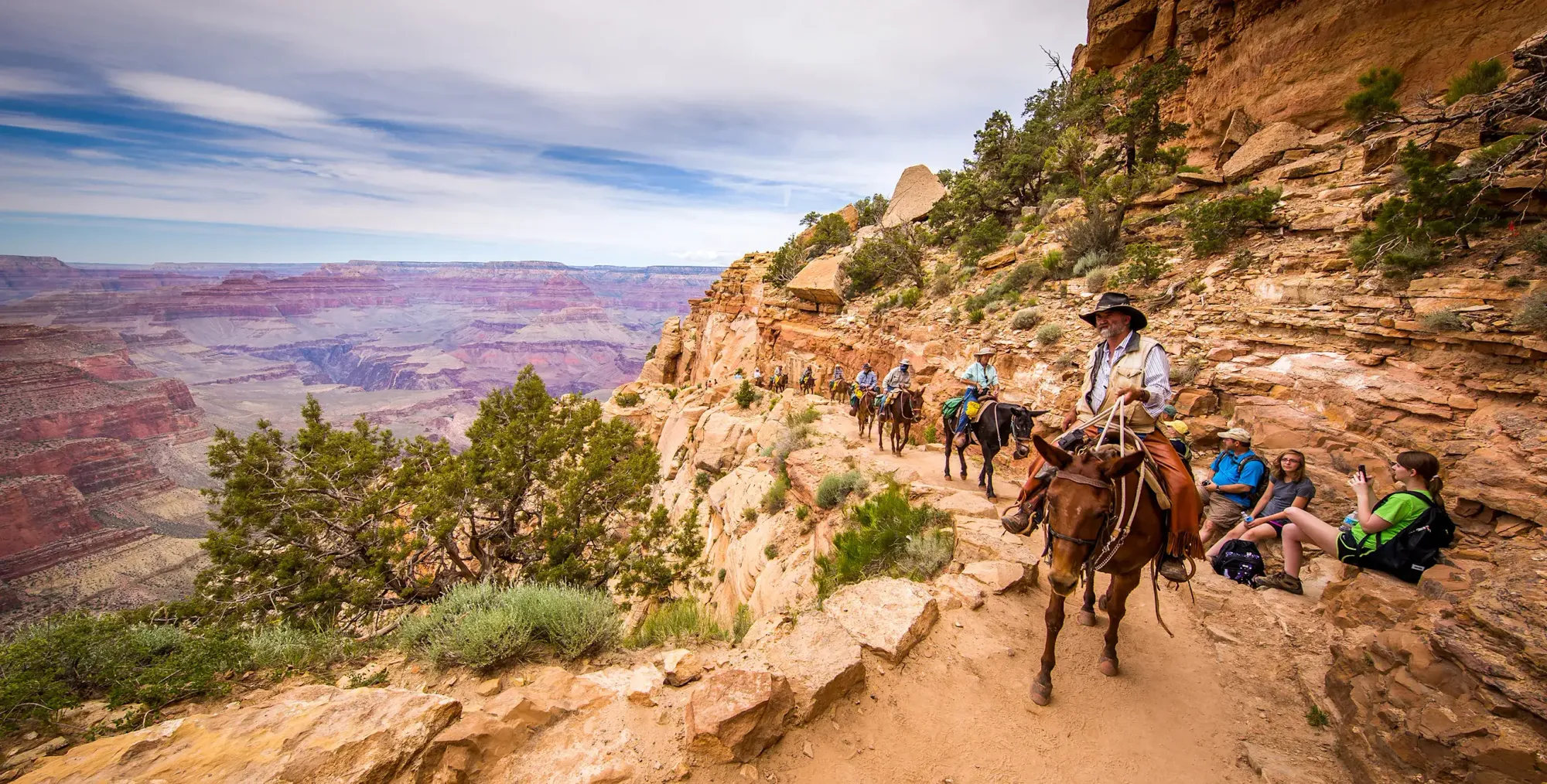 Mule Rides grand canyon