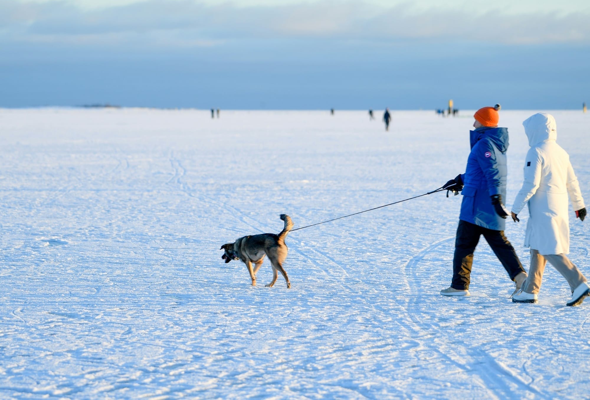 Two people walk a dog on snow plain