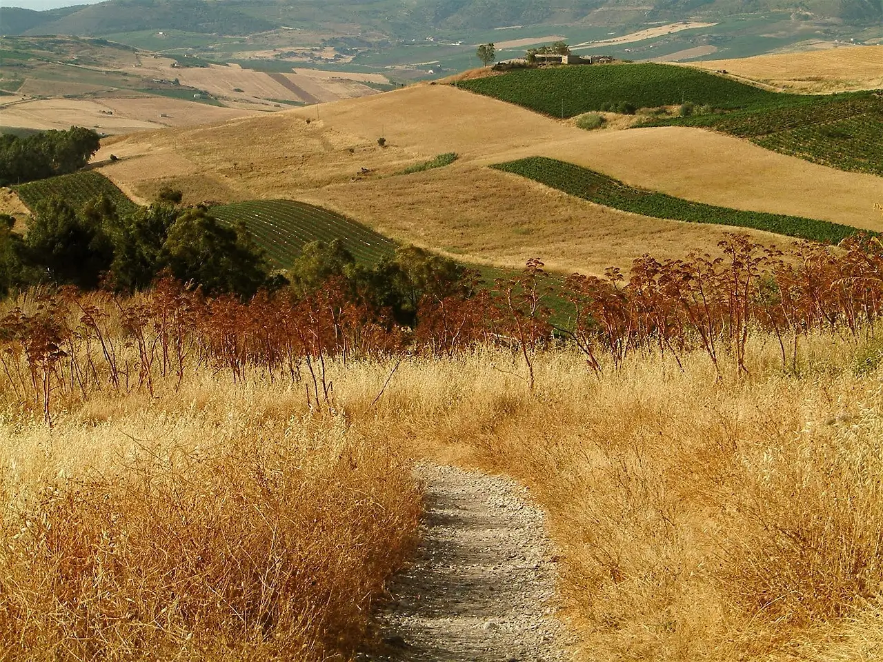 eltatoast-sicily