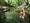 NATURISM: ONE MEANS OF OVERCOMING ECO-ANXIETY