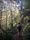 Hike Naked Day