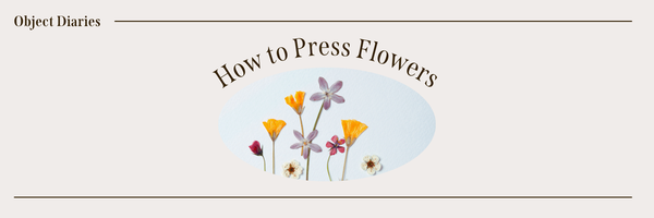 Pressing Flowers