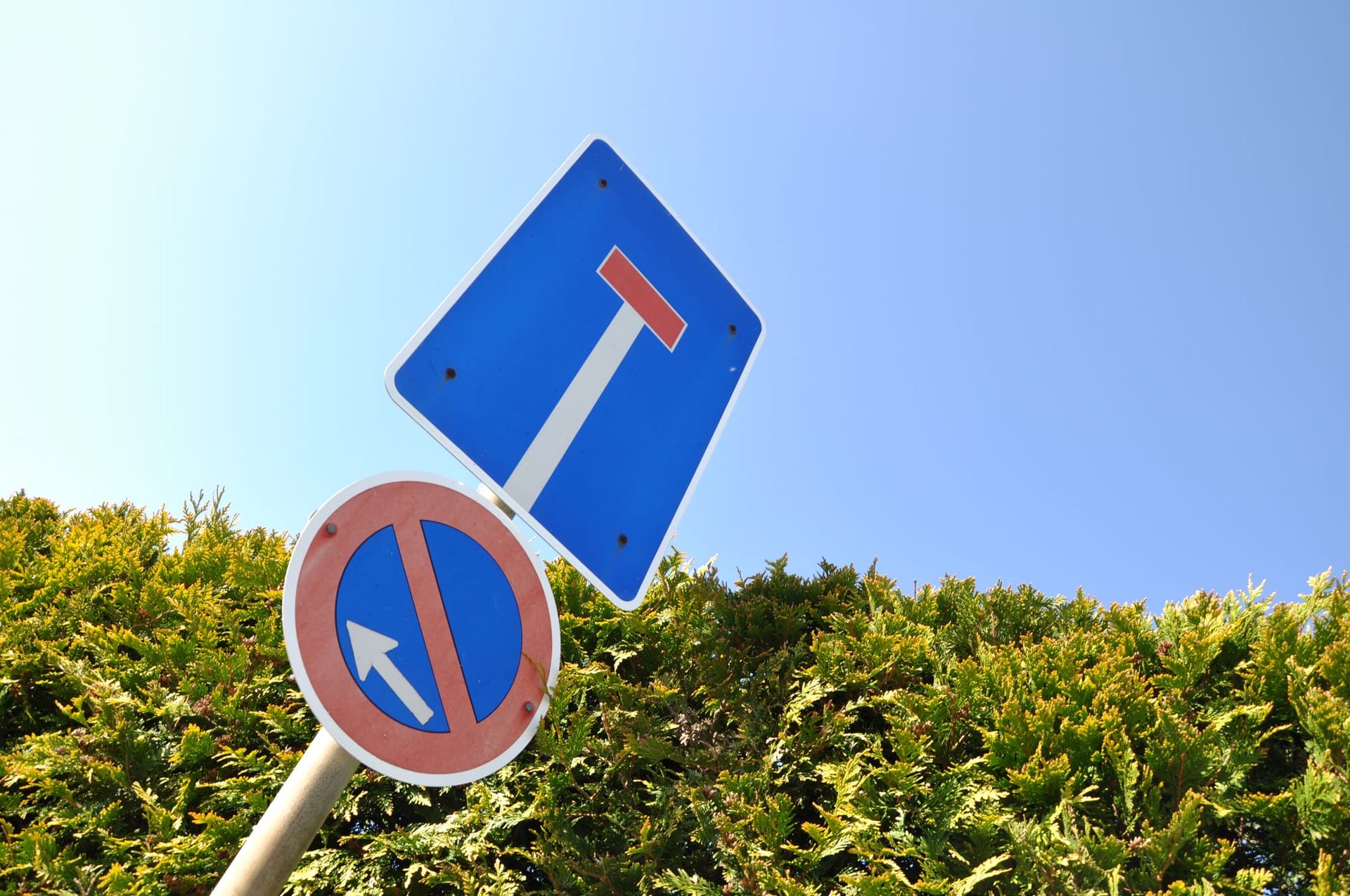 The Detour Is the Point