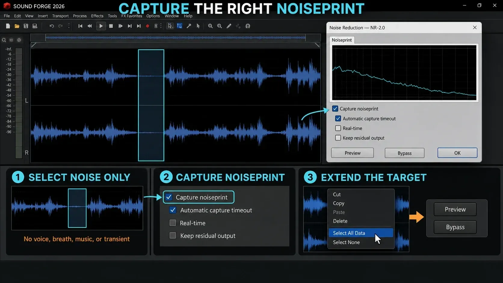 A noise-only passage selected in Sound Forge and captured as an NR-2.0 noiseprint