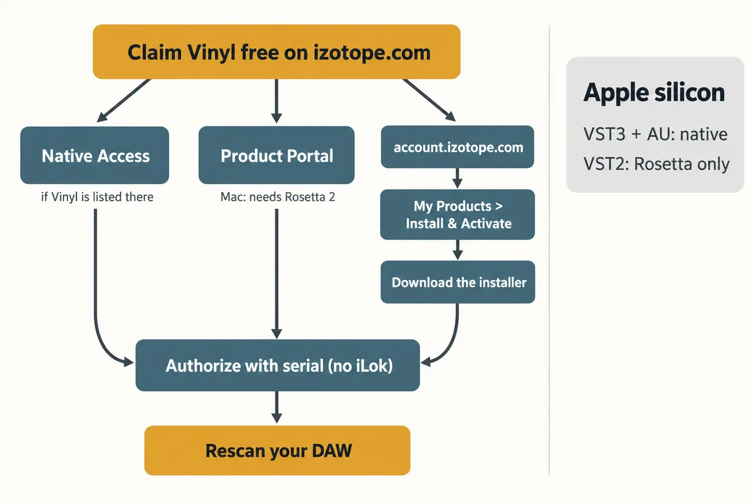 Flow chart from claiming Vinyl on izotope.com to three install routes, Native Access, Product Portal and the account installer, which all lead to serial authorization and a DAW rescan, with an Apple silicon note that VST3 and AU run natively and VST2 only in Rosetta
