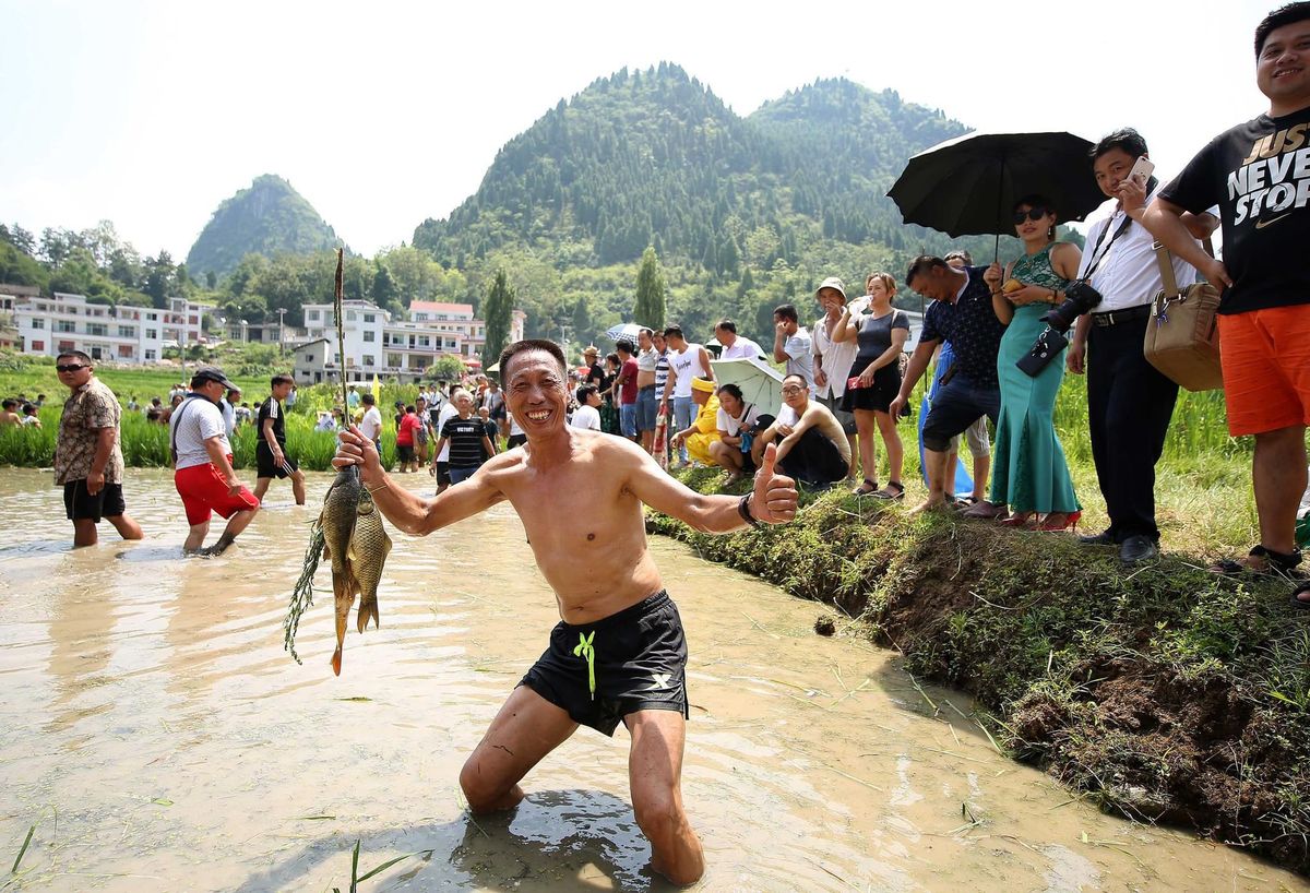 논밭에서 즐기는 풍성한 수확의 축제
