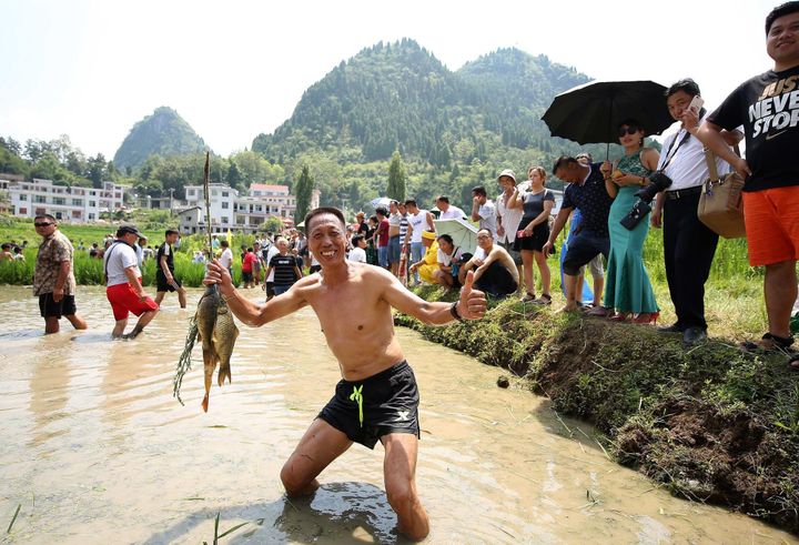 논밭에서 즐기는 풍성한 수확의 축제