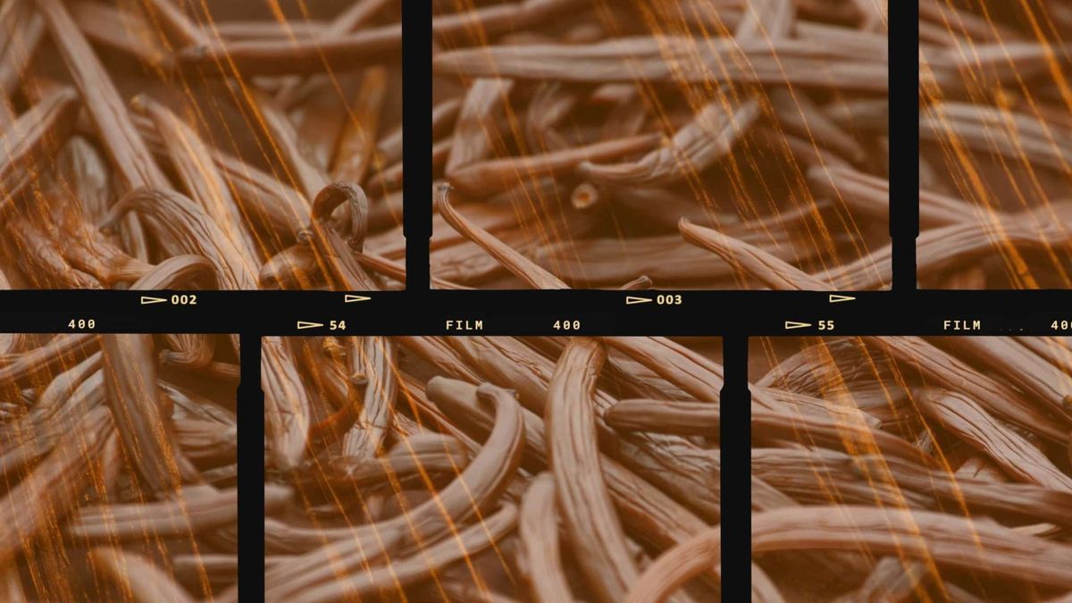 "Vanilla" isn't boring
