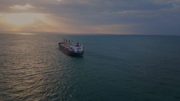 June 2026 Shipping Bulk Commodities Node