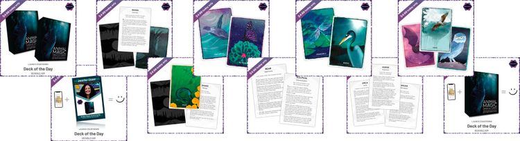 Deck of the Day: No4 - Animal Magic Oracle Cards - Esther Sanchez
