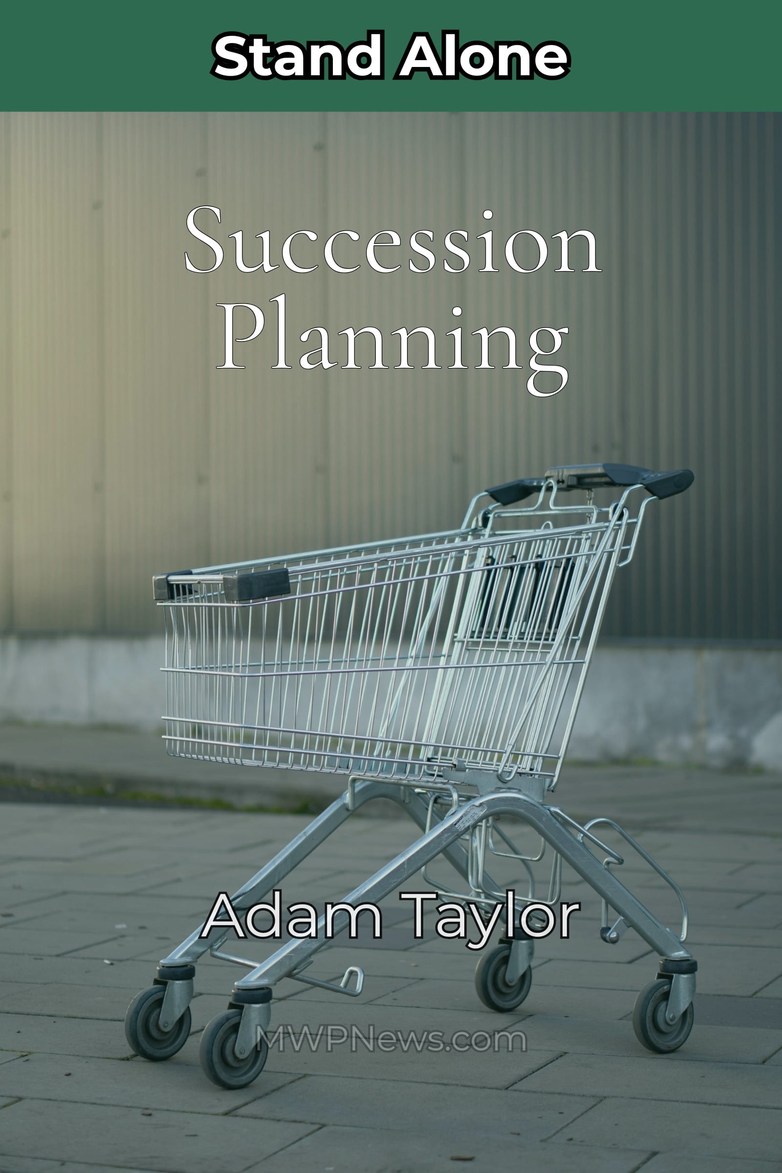 Succession Planning cover
