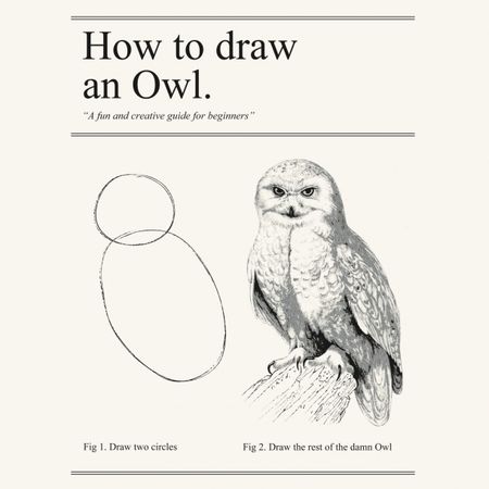 how to draw an owl