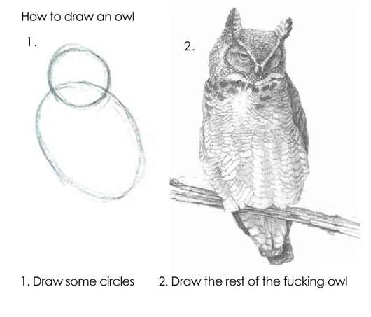 How to draw an owl meme. Step 1: draw some circles! There are two rough circles drawn, with them slightly overlapping. They vaguely resemble the shape of an owl. Step 2: draw the rest of the fucking owl. The illustration is a finished, intricate pencil picture of a Great Horned Owl. You can see individual feathers.