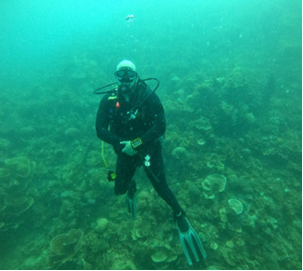 A scuba diver under water
Description automatically generated with medium confidence