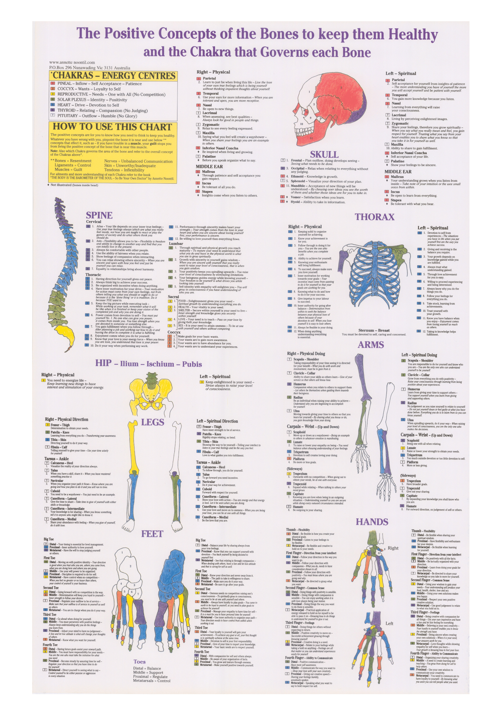 CTA Image