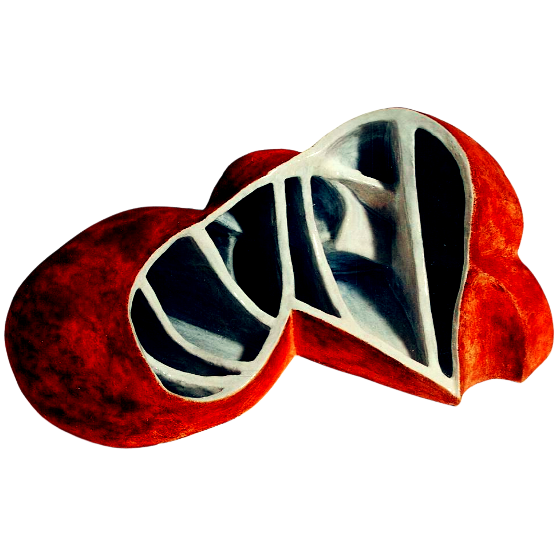 3 rounded parts on outside & 7 compartments on interior, resonance chambers, various sounds & tones <https://www.redbubble.com/i/sticker/Bubbles-by-soma-objects/172194636.EJUG5>