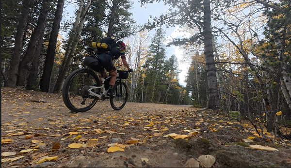 Nederland Take 2 - A Solo Bikepacking Adventure