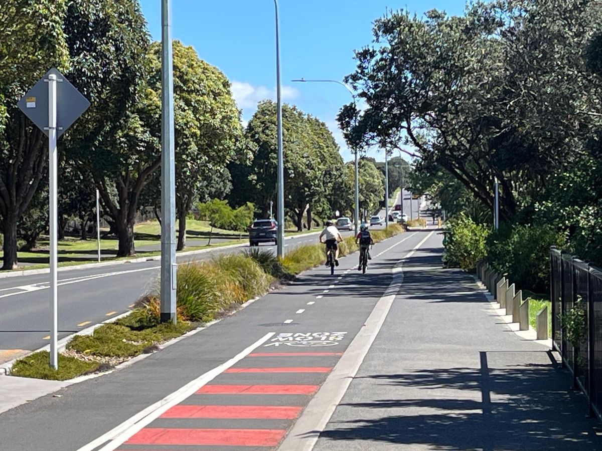 Cycleway use flatlines despite Meola Rd upgrade