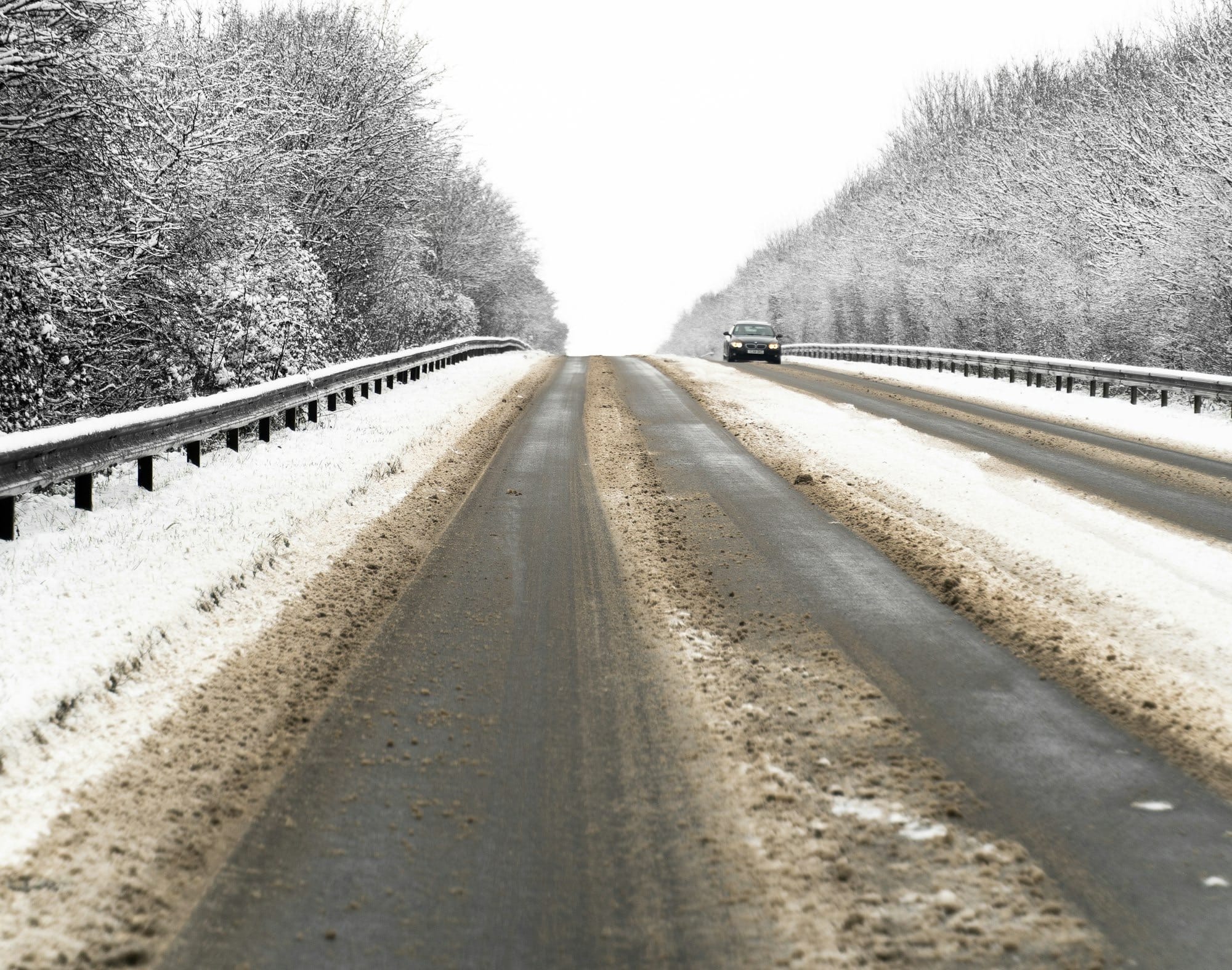 grayscale photo of road between trees
