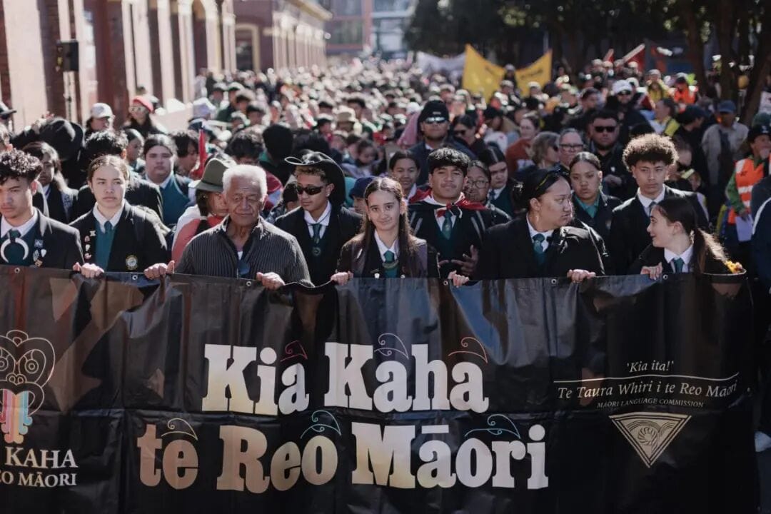 The incoherent nationalism that is seeking to diminish te reo Māori | The Post