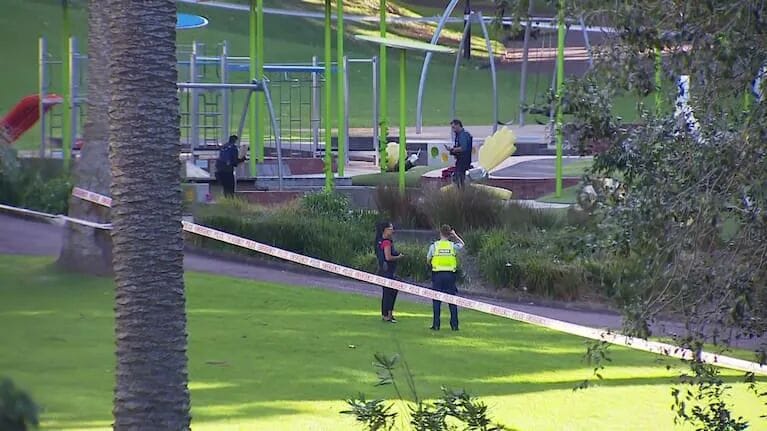 Footage captured by 1News shows police cordons in the central Auckland park.