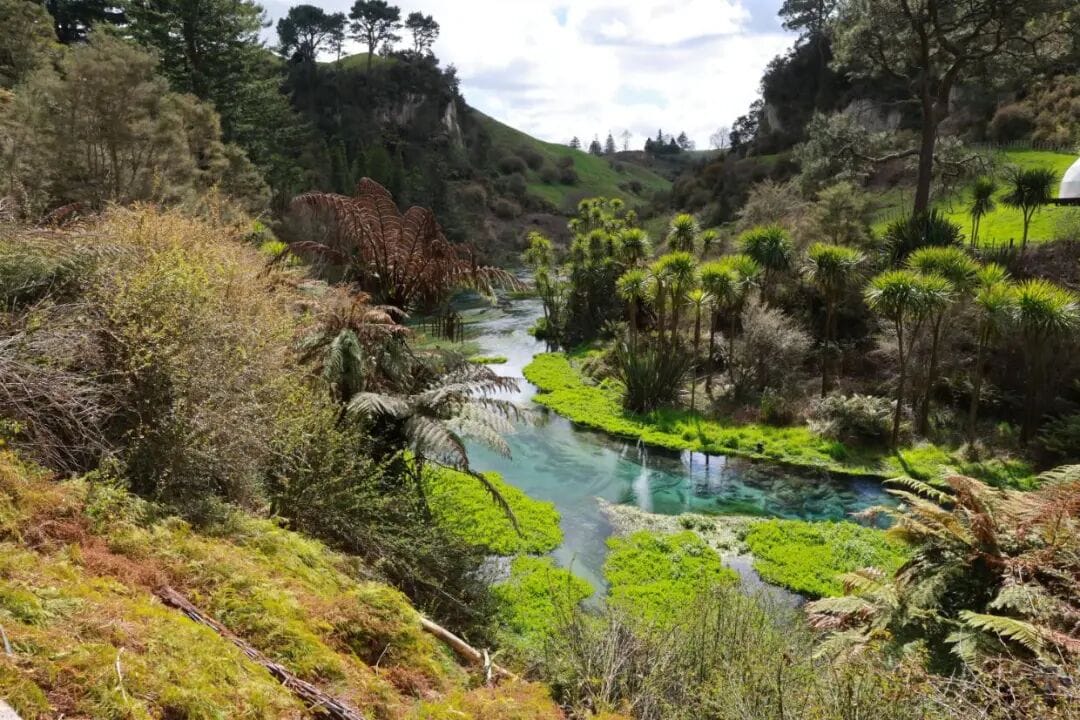 Putāruru’s Blue Spring is set for a cash injection to improve infrastructure after being overwhelmed by crowds of tourists last summer.