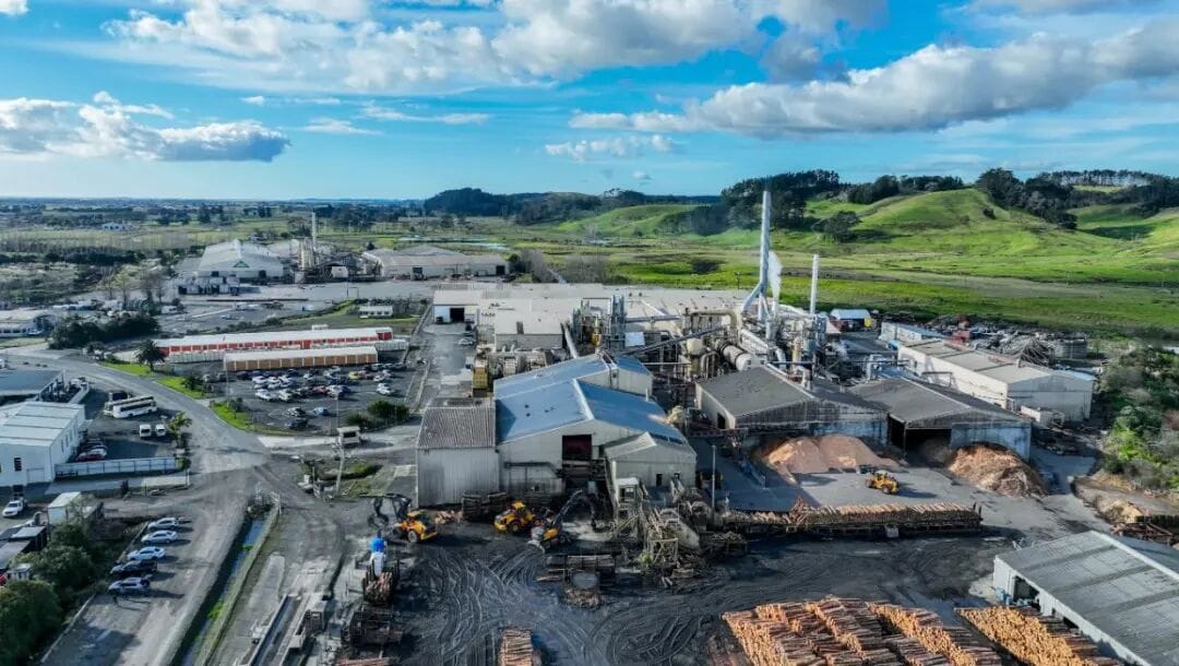 The Kaitāia mills could close, causing major concern for locals.