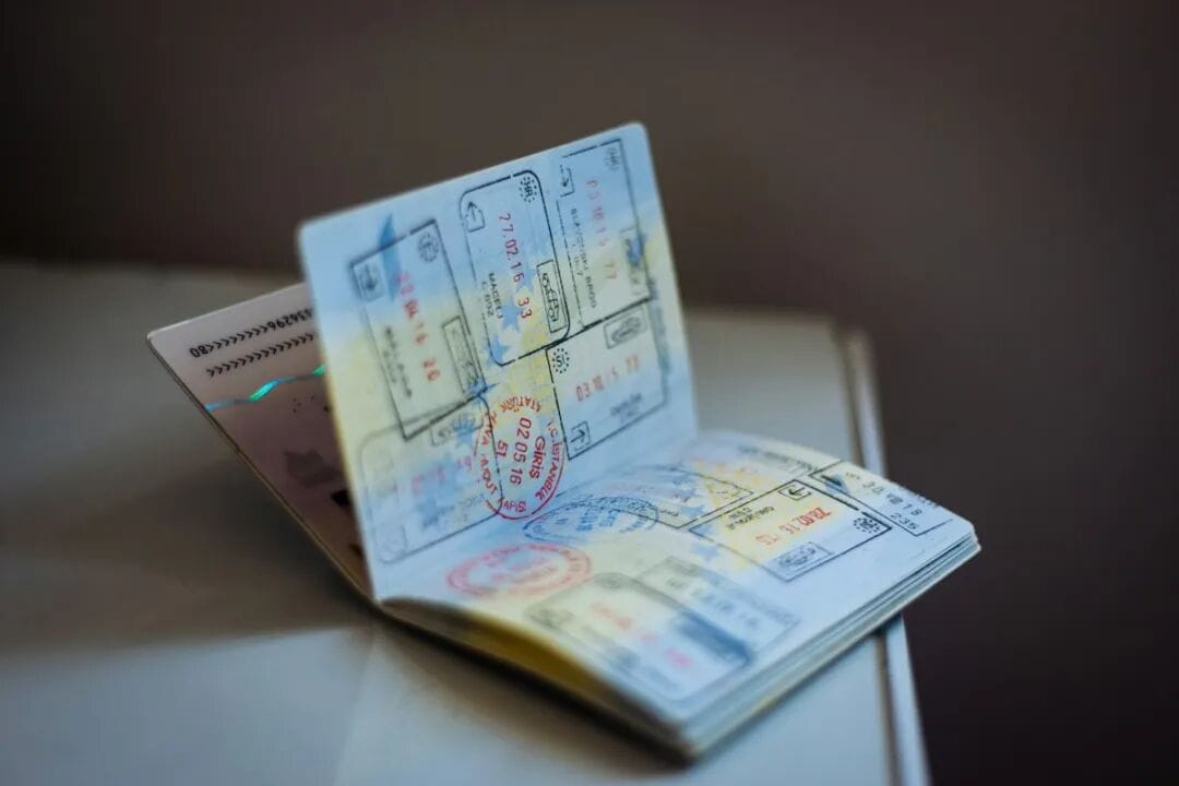 新西兰签证拒签率大增,很多中国申请者被拒,移民局官方回应