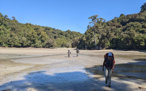 Due to China's ban on dual nationality, Auckland resident Haiping is hesitant to apply for New Zealand citizenship.
