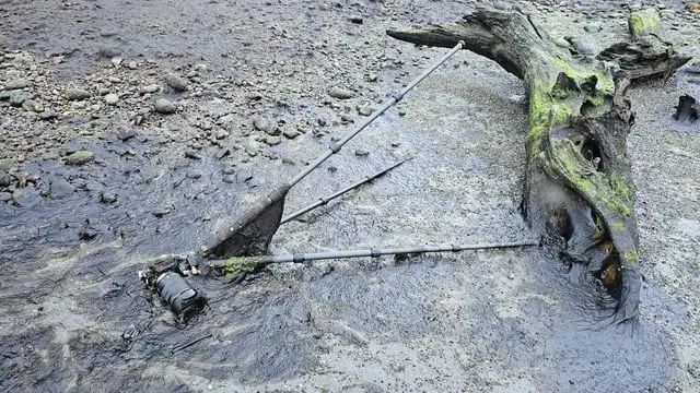 新西兰寻人启事：“12000刀相机等主人认领”