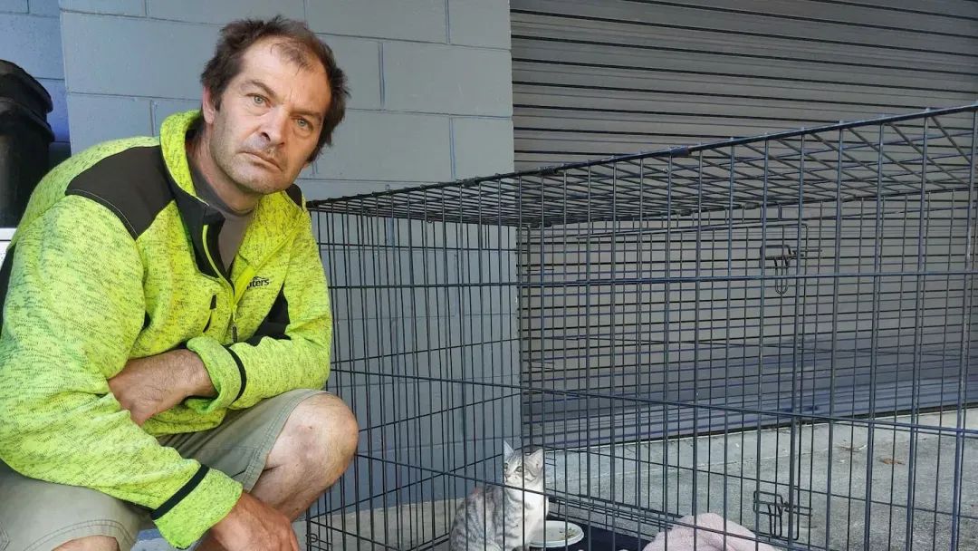 新西兰家猫在社区被枪杀惨死，主人“好害怕”