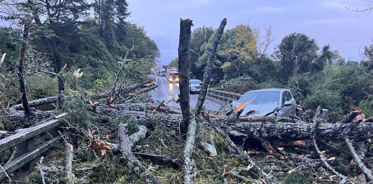 强风袭击新西兰北岛，多地受灾
