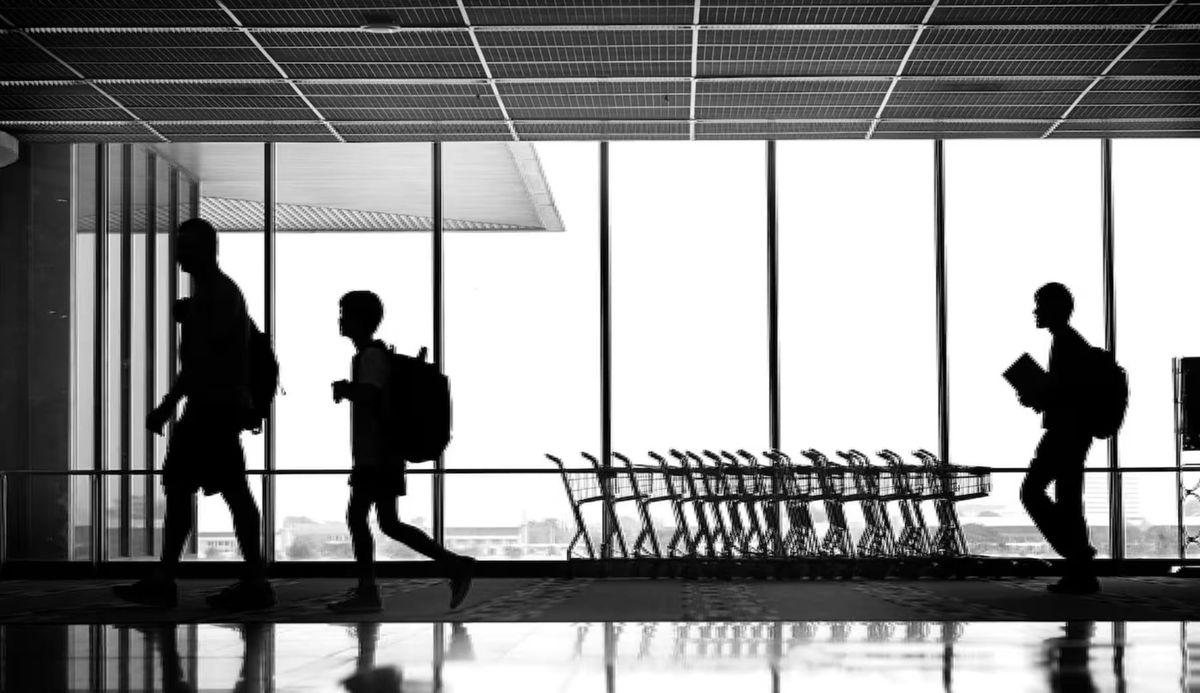 优秀高中毕业生加速逃离新西兰