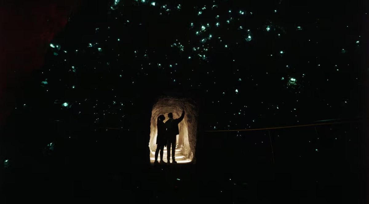 新西兰北岛新景点开放，“皇后镇也会造一个”