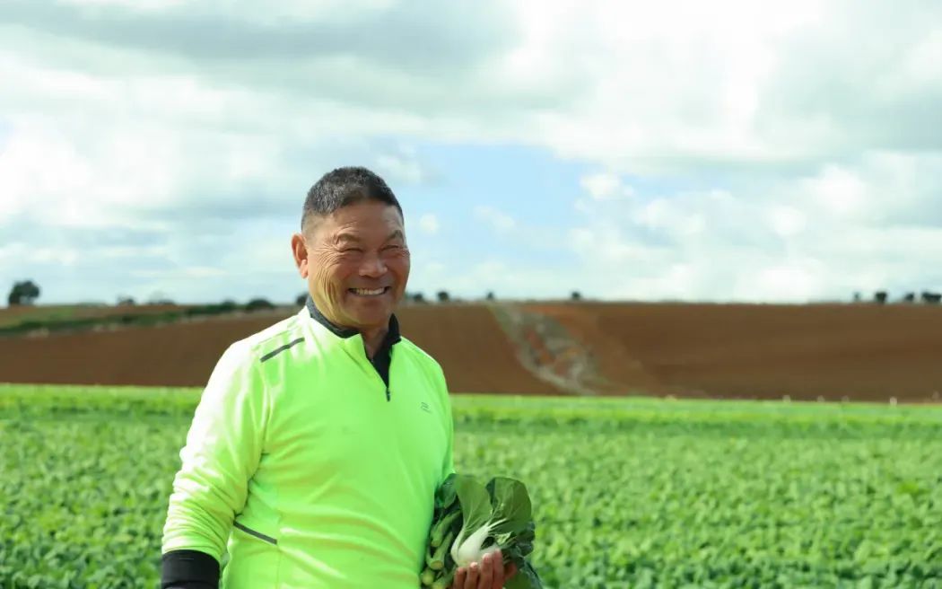 华人四代在新西兰种菜，将亚洲蔬菜带上新西兰人餐桌