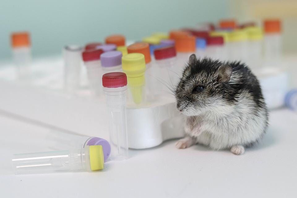 air-nz-to-trial-new-covid19-tests-20220501