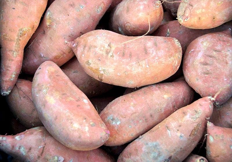 grow-kumara-in-garden