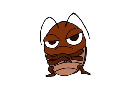 how-to-avoid-cockroach-invasion