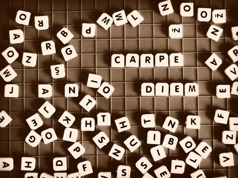 latin-phrases-you-could-see-everyday