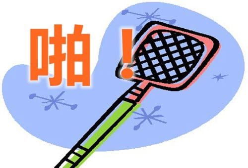 most-disliked-pests-in-nz