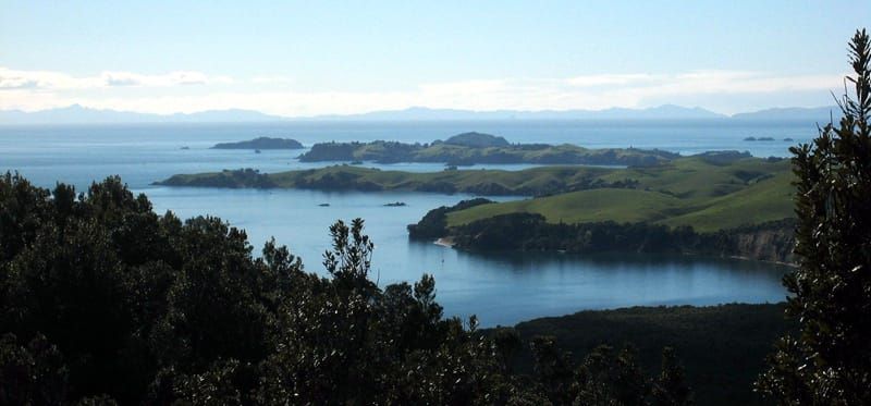 motutapu-island