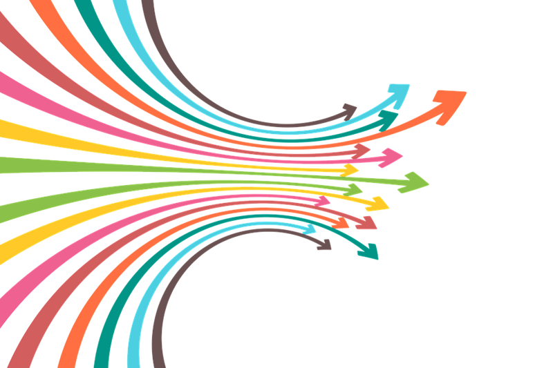 professional-media-groups-in-nz