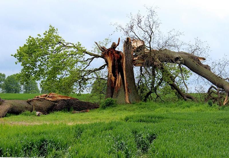 reporting-a-problem-online-to-auckland-council