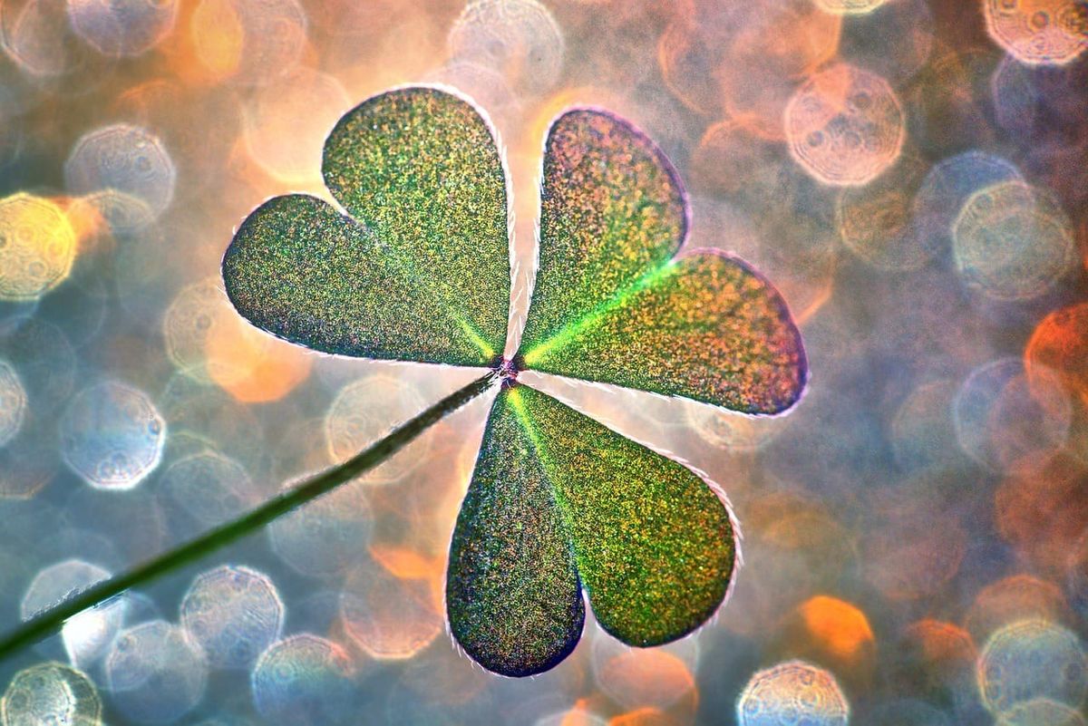 sick-leave-in-annual-leave